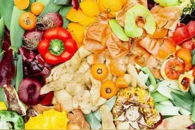 自己做肥：发酵液体肥，粪肥发酵，做杀虫水，肥力持久，改善土壤图片