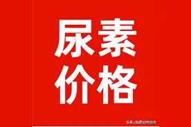 8月1日，全国尿素出厂报价，主流地区价格上调30-70元图片