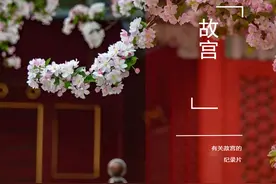 收藏！去故宫前必看的7部纪录片图片