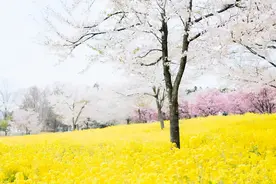 女生不爱你的表现：“拒绝肢体接触”图片