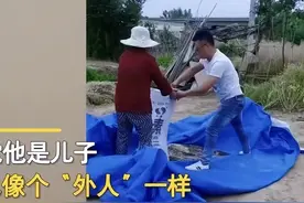 女婿全程卖力帮丈母娘干农活，妻子恍然大悟：满满都是套路图片