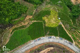 连接福建和广东的“废弃路”，竟是老司机的宝藏自驾线！图片