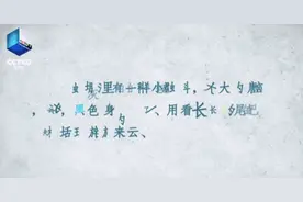 我不是“笨小孩”，低分不是我的错图片