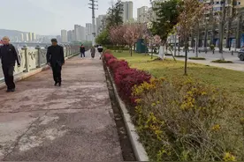 说说巴中图片