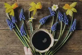 土拨鼠之日效应：永远不要在家待太久，否则你会变傻图片