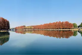 原来隋唐是一家图片