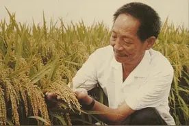 江西现代名人盘点，竟然还有诺贝尔得主？图片