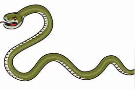 我国陆地最毒的蛇，曾让专家“打飞的”送解药，它有多毒？图片