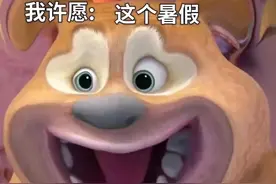 表情包｜变形版熊大熊二图片