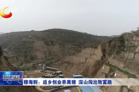 穆海则：返乡创业养黑猪 深山闯出致富路图片
