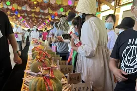 来哈密瓜节看哈密瓜的庞大“家族”谱系图片