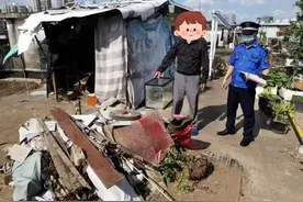 小区楼顶违规种菜养鸡鸭，城管进社区联合整治！图片