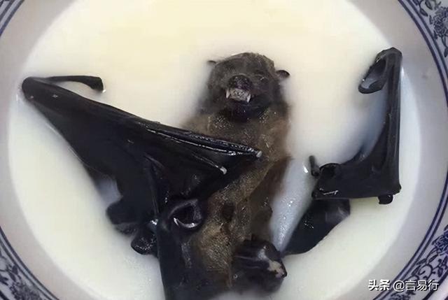 世界上最恶心的菜(罗列世界上最恶心的重口味食物)-图6