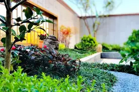 家里有小院子，除了种花，5个小物件安排上，小院舒适有情调图片