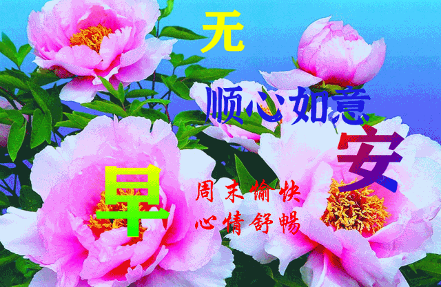 7.17温馨鲜花带字片大全 心里藏着小星星,日子才能亮晶晶