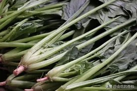 同样是菠菜，红根和白根有啥区别？老菜农：区别很大，别随便买了图片