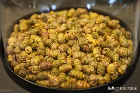 李时珍眼里“延年益寿”的珍宝，二“阳”后身体亏虚，想补又怕虚不受补，吃它正合适！图片