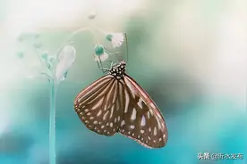 50个脑筋急转弯防痴呆，眼泪要笑出来了！图片