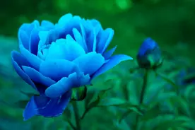 4月中旬，红鸾心动，喜逢佳缘，牵手成功的三大星座图片
