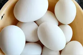 鹅蛋为什么吃的人很少？也很少有卖？我也是刚知道，真的涨知识了图片