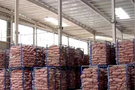 金乡、杞县、邳州大蒜之乡，3强相争谁最牛？一文了解各地优势图片