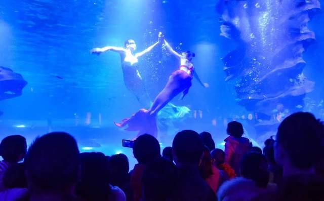 四川省民生研究会新媒体中心-官网