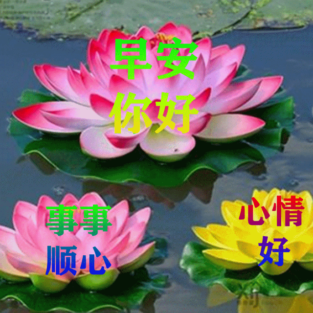 「2022.07.05」早安心语，正能量很赞的短句子 励志早上好说说图片