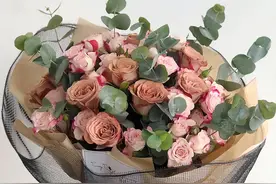 卡布奇诺的花语图片