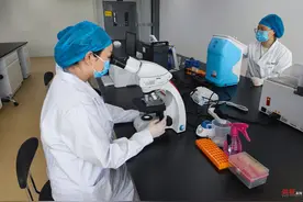 全球首个牙囊干细胞治疗牙周病临床研究今日启动图片