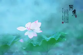 不读这16句诗词，你就不知道夏雨有多美图片