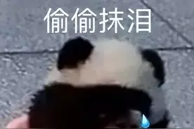 30岁未婚，宁波男子面试时被奇葩男领导多次逼问恋爱经历图片