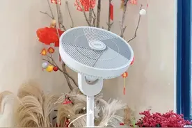 闺蜜反对我买的4件物品，以为是“智商税”，没想到越用越上瘾图片