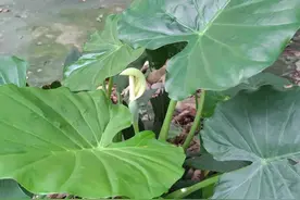 昨天，与高中最好的同学相聚，喝完咖啡，我知道今后不会再联系了图片