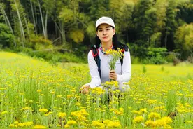 北仑春晓，野花成海，古道边金钱松吐翠图片