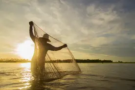粘网捕鱼有三步，备网，下网，收网，我告诉你下网的方法技巧图片