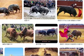 「原创」海丰阿东：原来红色，不是斗牛而是逗人啊？图片