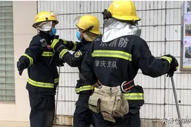 蛇出没！注意！图片