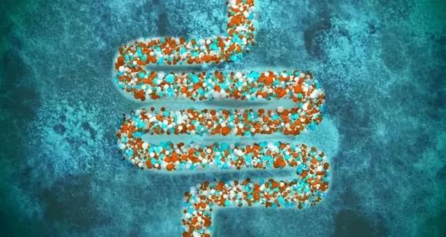 带您认识生活在我们肠道中的常见微生物“居民”