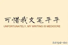 可惜我文笔平平图片