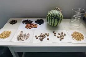 中药学，这类专业什么时候成为了时代的淘汰品图片