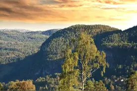 男科：尿频、尿急、尿不尽，仲景经方“当归贝母苦参汤”论治经验图片