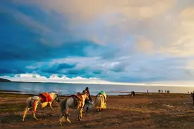 【河湟文化】青海饮食——酒类（上）图片