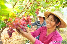 生不增、死不减：仍是第三轮农村土地承包基本原则图片
