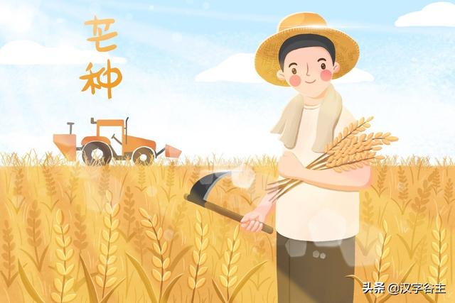 汉字节气：“芒种”也“忙”也“亡”，理解“芒”字思维表达