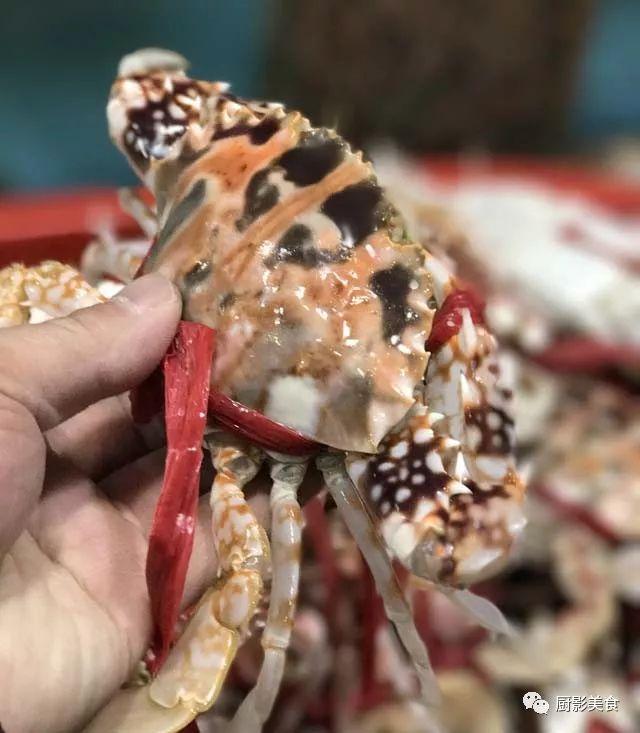 40头的花胶是几级 2025年花胶40头是什么意思?