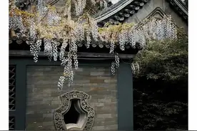 1950年代的土地证还有用吗图片