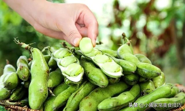 清明将至，记得多吃“第一豆”！营养美味，尝鲜期短，好吃别错过