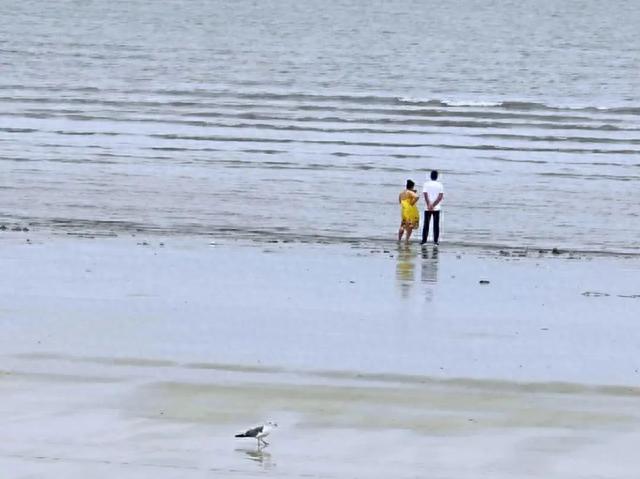 5万一套海景房，“城”银滩跌成海边鹤岗，被骗老人赶集卖烧饼