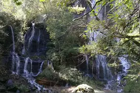 大山里的爱情（五）图片