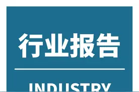 中国地震检波器行业发展深度分析与未来投资研究报告图片